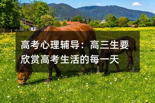 高考心理辅导:高三生要欣赏高考生活的每一天