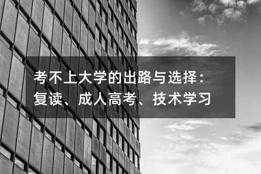 考不上大学的出路与选择:复读、成人高考、技术学习