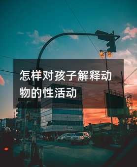 怎样对孩子解释动物的性活动