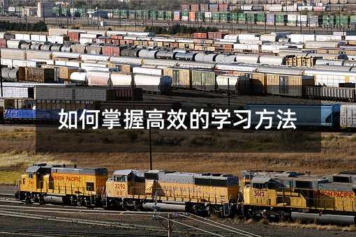 如何掌握高效的学习方法