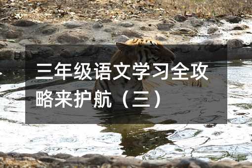 三年级语文学习全攻略来护航(三)