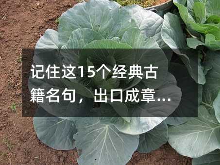 记住这15个经典古籍名句,出口成章很轻松