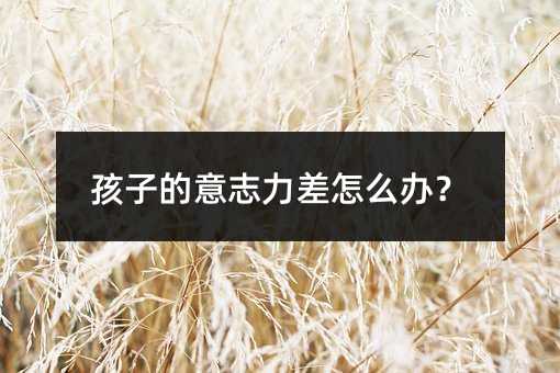 ���ӵ���־������ô�죿