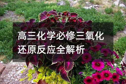 ������ѧ������������ԭ��Ӧȫ����