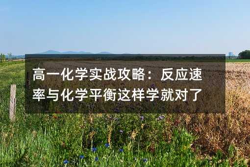 高一化学实战攻略:反应速率与化学平衡这样学就对了