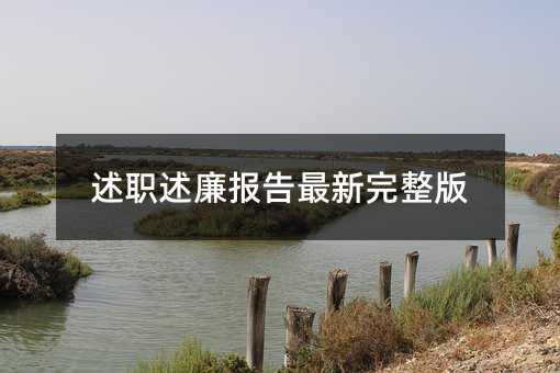 述职述廉报告最新完整版