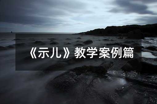 《示儿》教学案例篇