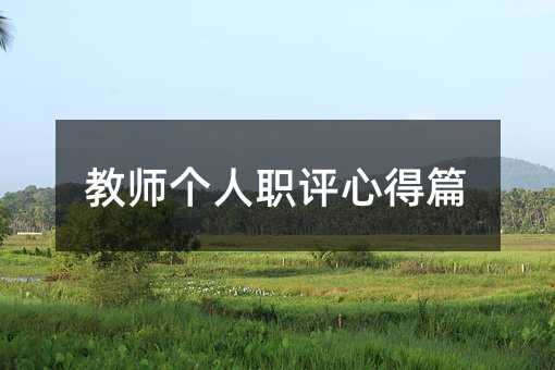 教师个人职评心得篇