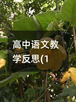 高中语文教学反思(12)