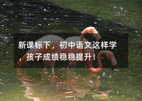 新课标下,初中语文这样学,孩子成绩稳稳提升!