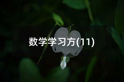 数学学习方(11)