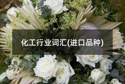 化工行业词汇(进口品种)