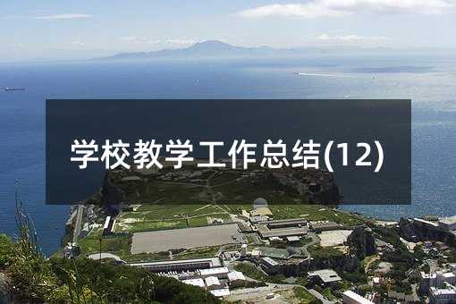 学校教学工作总结(12)