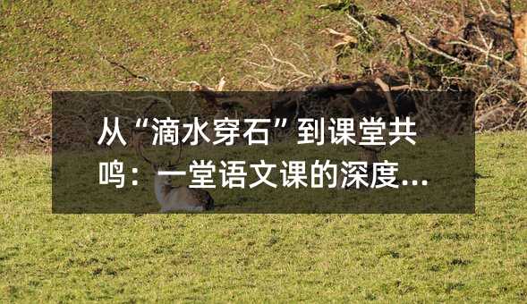 从“滴水穿石”到课堂共鸣:一堂语文课的深度叙事