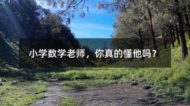 小学数学老师,你真的懂他吗?
