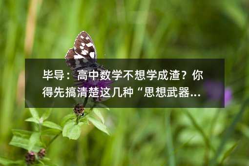 毕导:高中数学不想学成渣?你得先搞清楚这几种“思想武器”!