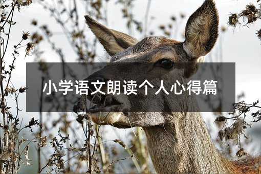 Сѧ�����ʶ������ĵ�ƪ