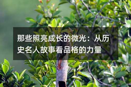 那些照亮成长的微光:从历史名人故事看品格的力量