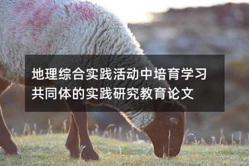 �����ۺ�ʵ���������ѧϰ��ͬ���ʵ���о���������