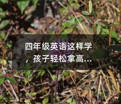 ���꼶Ӣ������ѧ�����������ø߷֣�