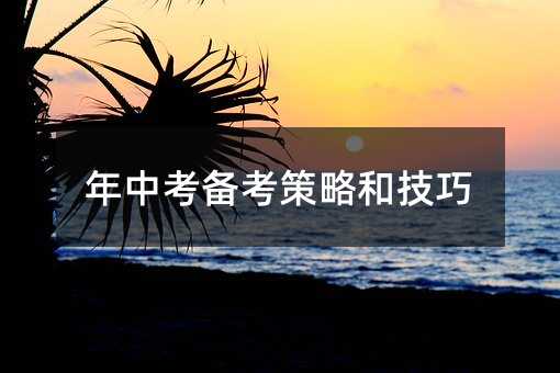 年中考备考策略和技巧