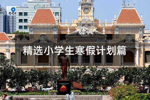 ��ѡСѧ�����ټƻ�ƪ