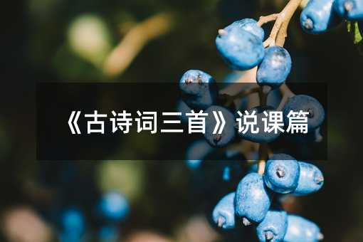 ����ʫ�����ס�˵��ƪ