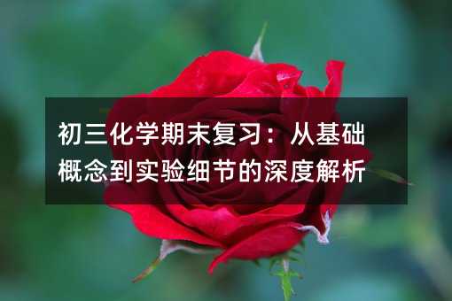 ������ѧ��ĩ��ϰ���ӻ������ʵ��ϸ�ڵ���Ƚ���