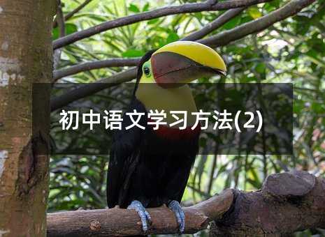 ��������ѧϰ����(2)