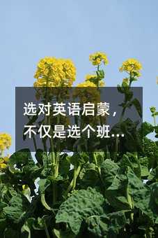 ѡ��Ӣ�����ɣ�������ѡ���࣬����ѡ��·