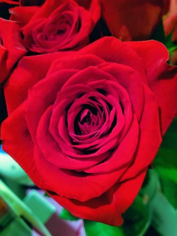 初一分化期的残酷真相:为何努力却换来退步?这篇期末反思揭露了所有陷阱