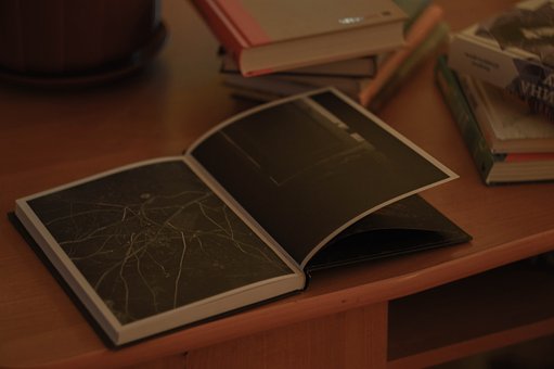 孩子学艺术常见四误区