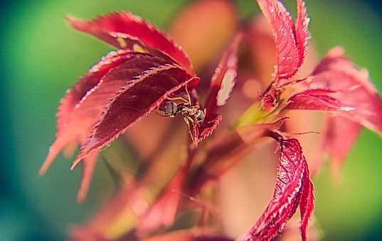 别纠结语法沉浸英语环境中 学口语不再是难事!