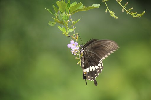 备战中考物理,拿下电功率这块“硬骨头”,这几张笔记必须嚼烂吃透!