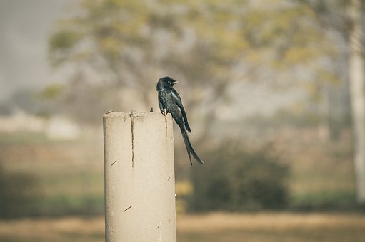 高一化学教学工作总结(2)