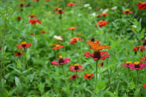 �������������߷���