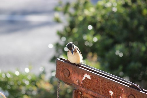 双语阅读:末日地堡——土豪们的避难选择