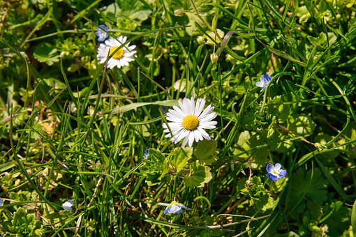 怎样分辨手工琴和机械琴那个琴好