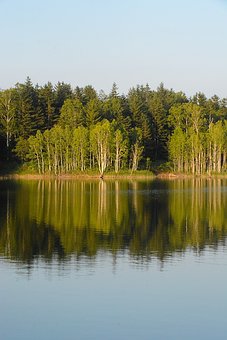 什么情况下手腕在弹钢琴时是完全放松的