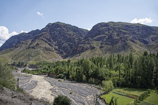 小学四年级数学期末复习计划