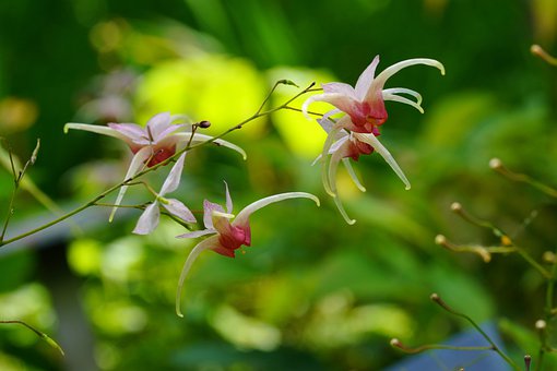 ���к��ӡ����顱�ˣ��ҳ�Խ�ţ�����Խ�棬������ĸ��������