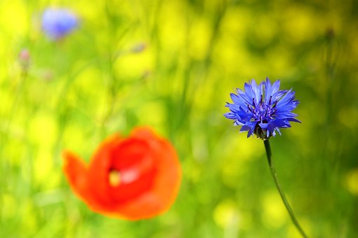 中考季的餐桌,藏着父母最深沉的爱