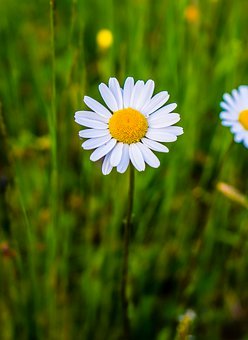 ��һ���ķ�ˮ�룺�������Ӳ�������⼸�ַ����ѿ��ġ�װ����������