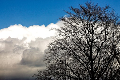 ������ѧ��ѧϰ����(8)